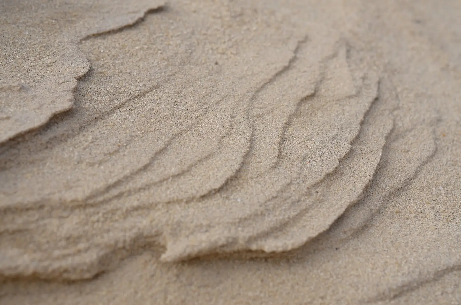 Dünen und Strandkörbe auf Sylt