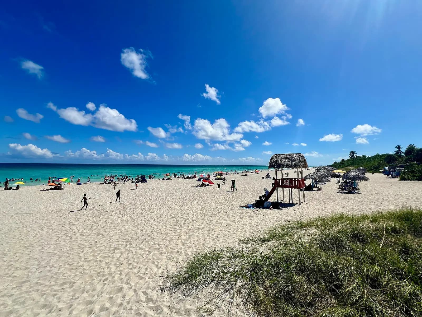 Palmenstrand in Varadero